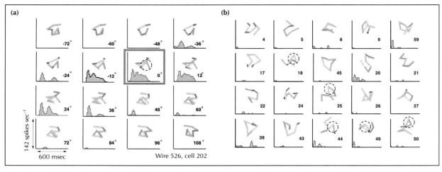 <b>Figure 4:</b> View-selective response of an IT neuron to a wire-like object. Peristimulus histograms (PSTHs) show the activity of a view-selective neuron when (a) the target or (b) distractors were presented.