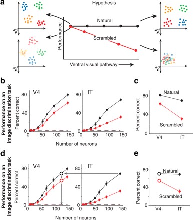 <b>Figure 6:</b> Results from experiment probing conjunction sensitivities of the V4 and IT